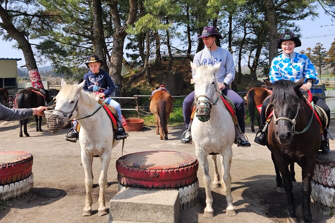 Full-Day Private Tour in Jeju Island - Traveler Photos and Reviews