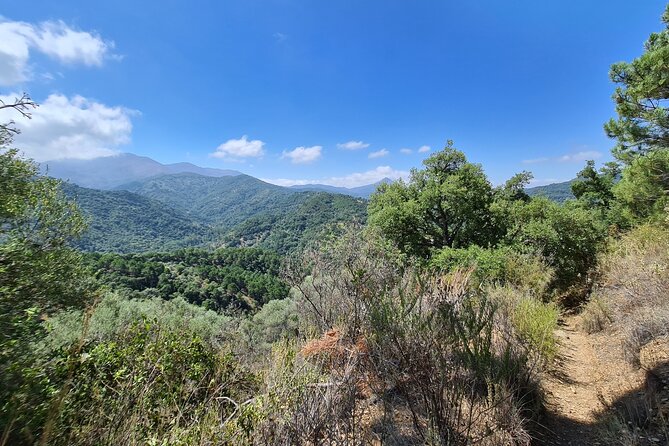 Full-Day Private Tour in Sierra Bermeja - Genalguacil - Genal River - Cancellation Policy