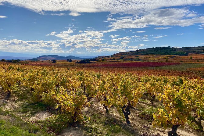 Full-Day Private Wine Tasting Tour in La Rioja With Lunch - Cancellation Policy