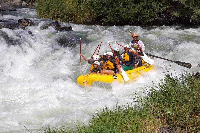 Full Day Rogue River Experience Class (I-IV) - Cancellation Policy