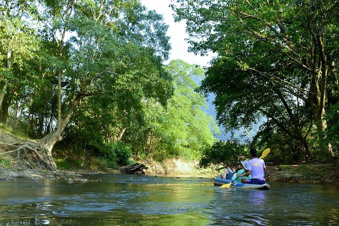 Full-Day Safari Tour to Khao Sok Jungle From Phuket - Reviews