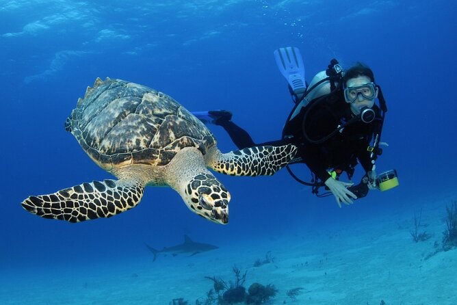 Full-Day Scuba Diving Experience in Alanya With Lunch and Pick Up - Cancellation Policy
