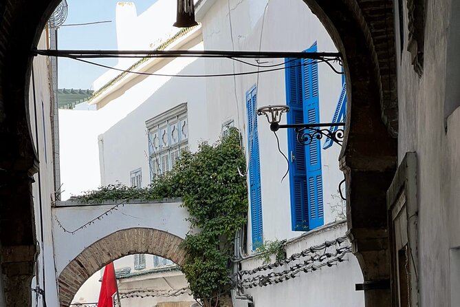 Full-Day Shore Excursion Private Tour in Tunisia Carthage ,Medina, Sidi Bou Said - Sidi Bou Said: A Picturesque Blue and White Village