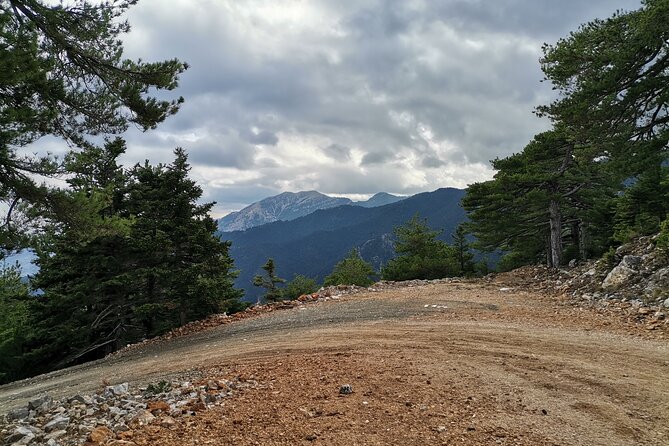 Full-Day Small-Group Hiking and Cycling Tour From Taygetos to Sparti - Reviews