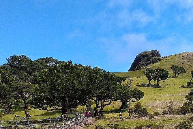 Full-Day Small Group Jeep Safari Tour From Funchal - Traveler Photos