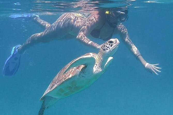 Full-Day Snorkeling Tour to Culebra Island With Lunch - Lunch and Refreshments Provided