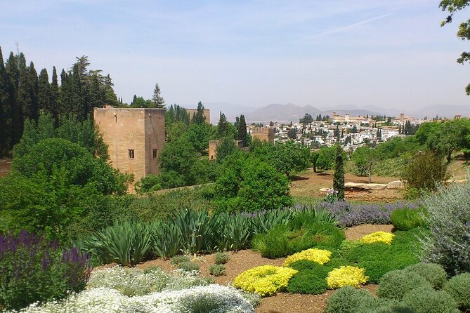 Full Day to Alhambra Palace and Generalife Gardens Direct From Malaga - Tour Experience and Criticisms