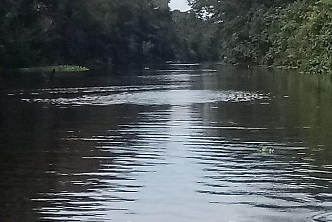 Full Day Tour Amazon River 2020 - Reviews and Ratings