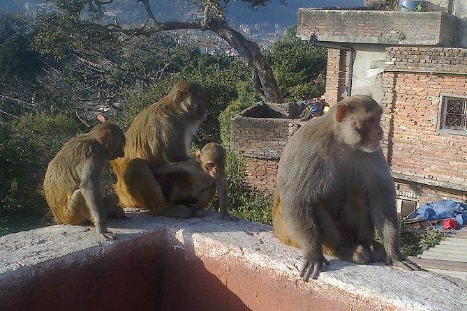 Full-Day Tour of Kathmandu Valleys UNESCO World Heritage Sites - Visited Sites