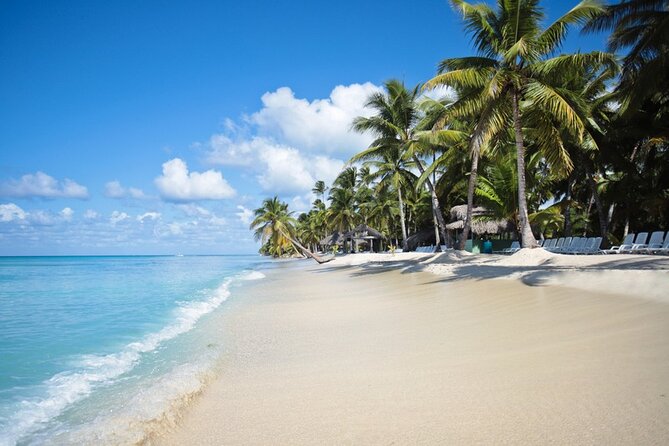 Full-Day Tour to Saona Island by Sailboat - Common Questions