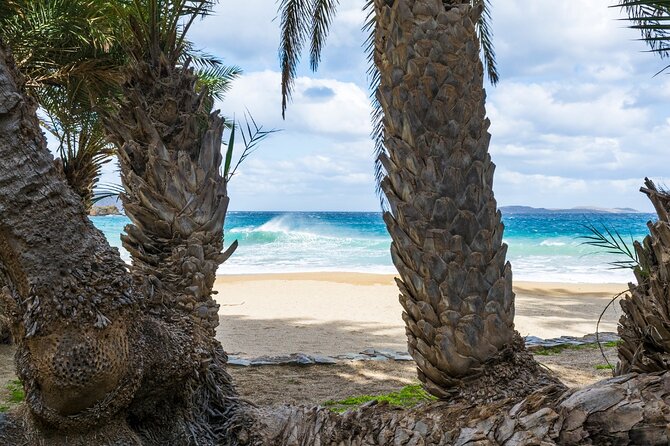 Full-Day Tour to Vai Palm Beach, Toplou Monastery, and Sitia Town - Traveler Photos