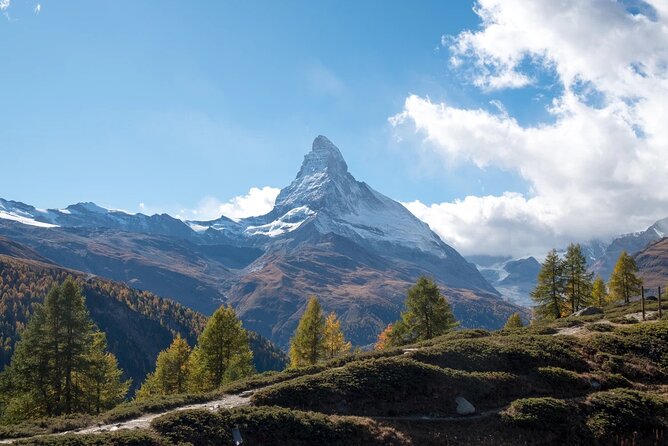 Full Day Tour to Zürich Including Rhine Falls - Optional Activities