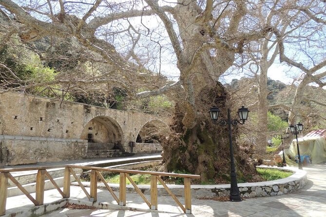 Full Day Trip to Knossos Cave of Zeus and Olive Oil Factory - Traveler Photos and Reviews