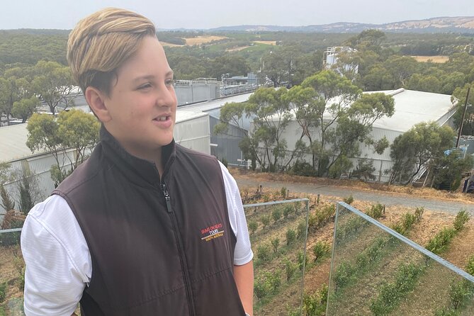 Full-Day VIP Hahndorf and McLaren Vale Private Tour - Gourmet Lunch Options
