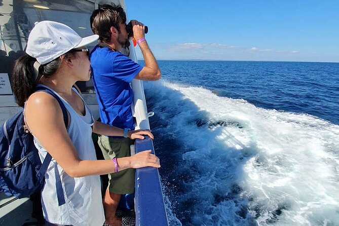 Full-Day Wild Atlantic Galway Guided Tour and Ferry Cruise - End Point and Cancellation Policy