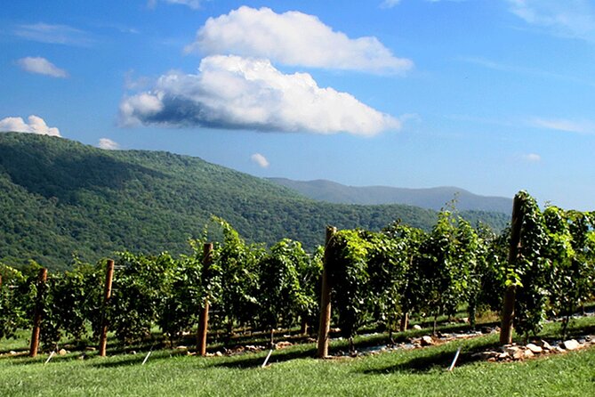 Full-Day Wine Country Wine Tastings From Atlanta - Tour Details