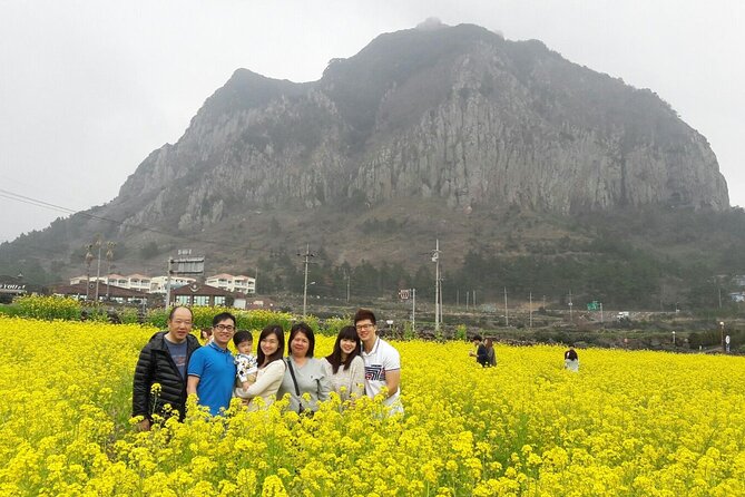 Full Package Tour of All Areas of Jeju Island-(East &South &West) - Hidden Gems in Eastern Jeju