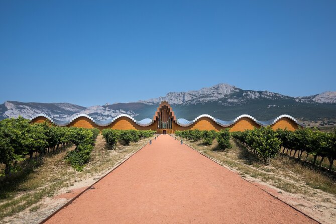 Full Rioja Wine Tour With Lunch From San Sebastian Private Tour - Scenic Drive and Seasonal Delights