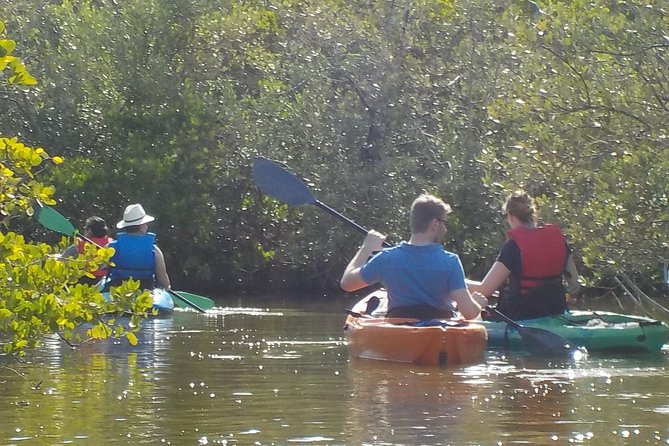 Fully Guided Kayaking Backwater Manatee and Dolphin Tour - Exclusions