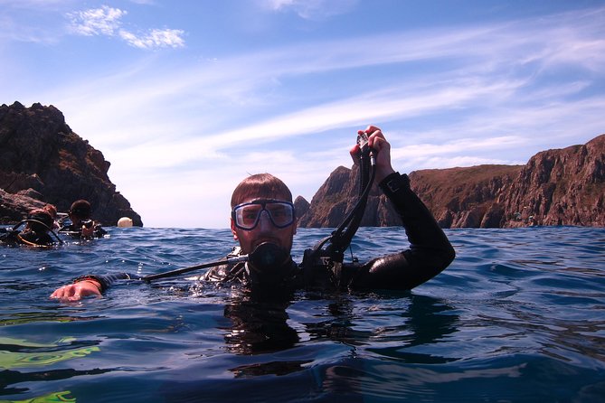 Fun Dives - Guided Dives for Certified Divers - Reviews and Ratings of Fun Dives