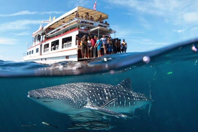 Fun Diving Safari Day Trip From Koh Lanta - Certified Divers - Cancellation Policy