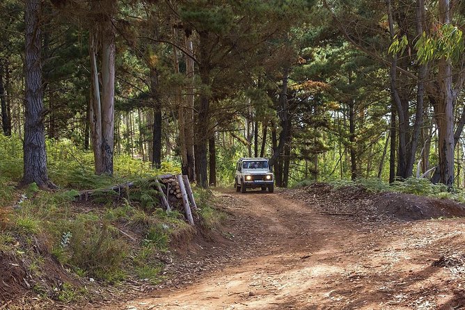 Funchal Half-Day Nun's Valley and Coastal Tour - Travel in a Jeep 4x4