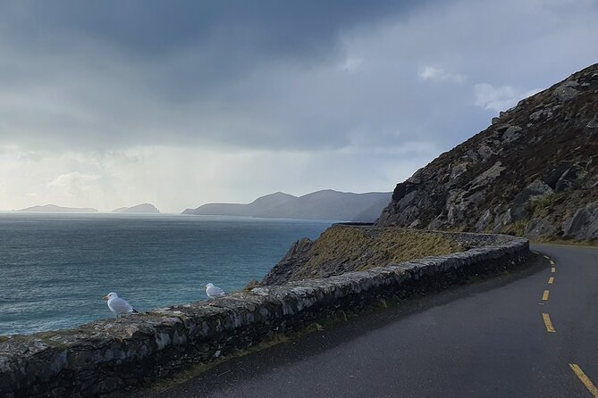 Galway City to Dublin Airport, Private Chauffeur Transfer. - Additional Information and Pricing