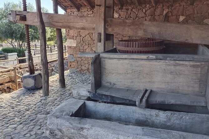 Gastro Wine Tour South Tenerife - Vineyard Visits and Tours