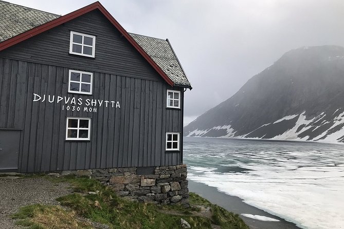 Geiranger Shore Excursion: Mt. Dalsnibba and Eagle Road - Positive Reviews and Tour Guides