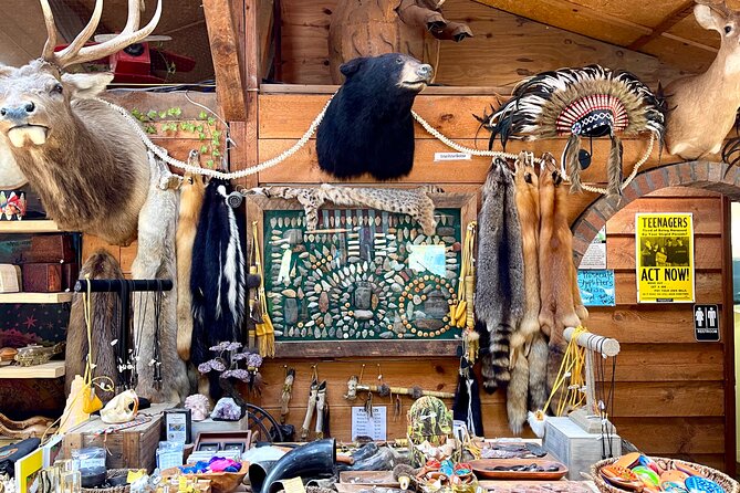 Gem Mining and Goat Farm Walking Tour in Hendersonville - Additional Info