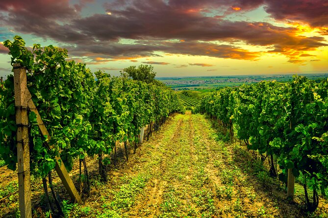 German Wine Tasting Tour at the Best Wine Bars in Berlin - Wine Tour Itinerary and Highlights