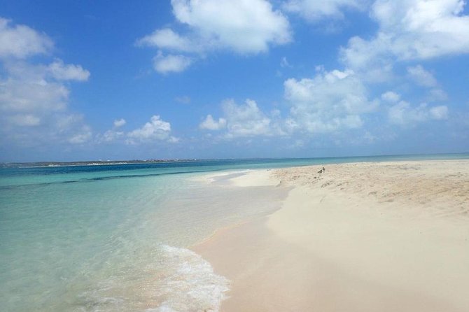 Gibbs Cay Stingray and Conch Dive Adventure - Common Questions