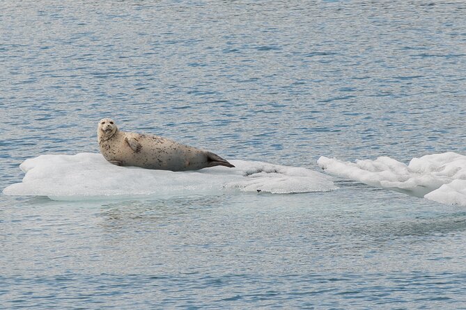 Glacier Quest Cruise - Self-Drive From Anchorage, AK - Benefits of the Self-Drive Option
