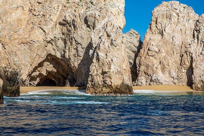 Glass-Bottom Boat Cruise in Cabo San Lucas - Traveler Photos and Reviews
