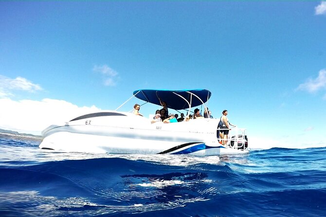 Glass-Bottom Boat Cruise With Snorkeling at Vila Franca Do Campo  - Sao Miguel - Expectations and Accessibility