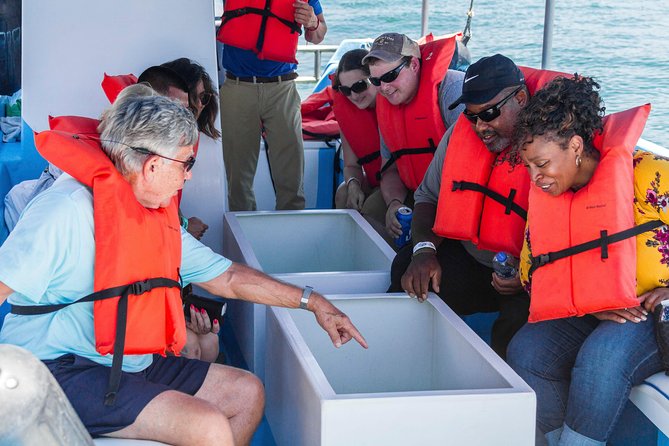 Glass-Bottom Boat Ride and Snorkel Tour in Cabo San Lucas - Viator Help Center