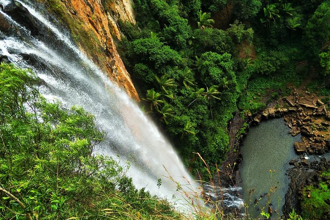 Gold Coast: Natural Arch, Rainforest & Volcano Canyon  - Surfers Paradise - Wildlife Spotting