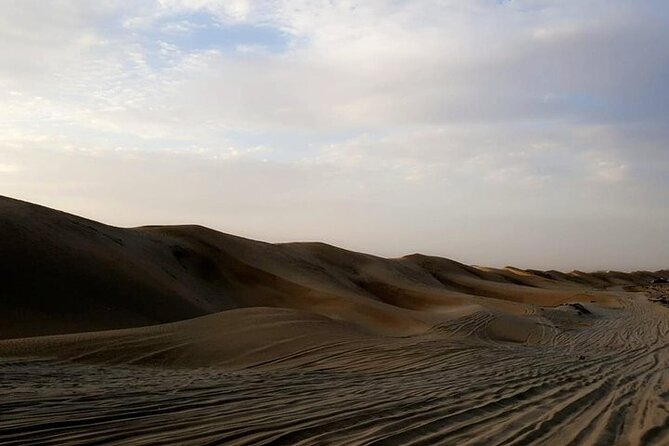 Gold Sunset Desert Safari ,Sand Boarding,Camel Ride,Inland Sea - Camel Ride and Capturing the Sunset