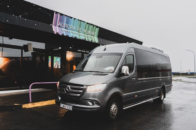 Golden Circle Day Tour in Mini Bus From Reykjavik With Fridheimar Tomato Farm - Traveler Experiences