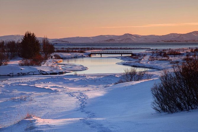 Golden Circle Small Group Tour With Fridheimar Farm - Positive Reviews and Highlights
