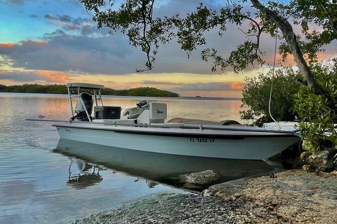 Golden Glare Fishing Charter With Experienced Captain - Inclusions and Weather Dependence
