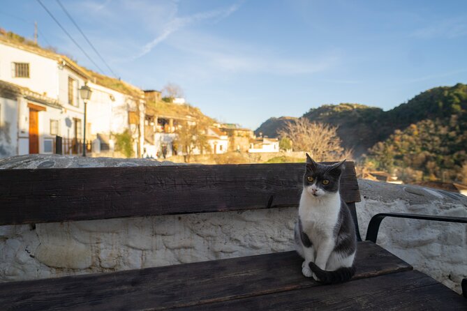 Granada: A Private Experience Walking Tour - Additional Information