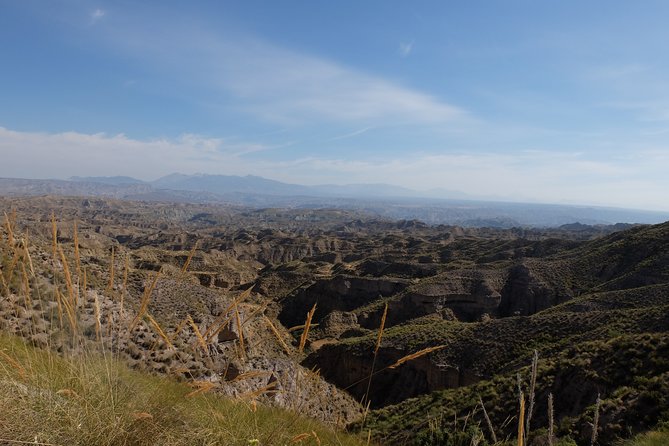 Granada Geopark: Desert, Prehistory and Local Gastronomy - Local Gastronomy and Culinary Delights
