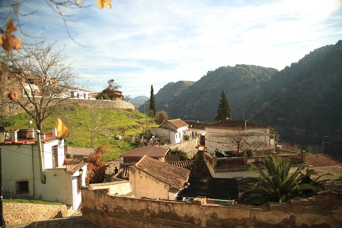 Granada Highlights Tour With Tapas Breaks by Electric Bike - Inclusions and Tour Details