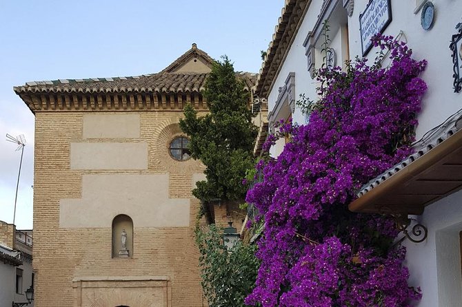 Granada Walking Tour: Albaicin and Sacromonte Quarters - Reviews and Testimonials