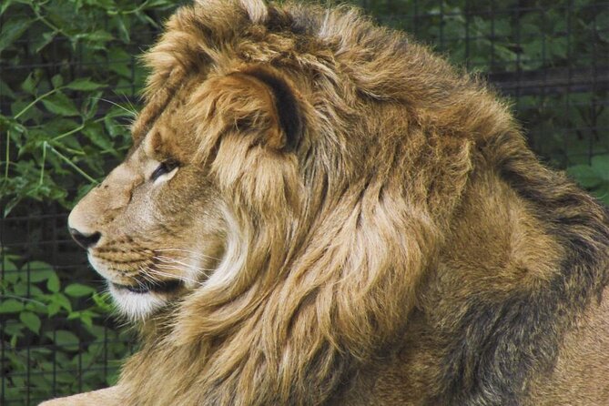 Granby Zoo One-Day Bus Tour  - Montreal - Booking and Confirmation