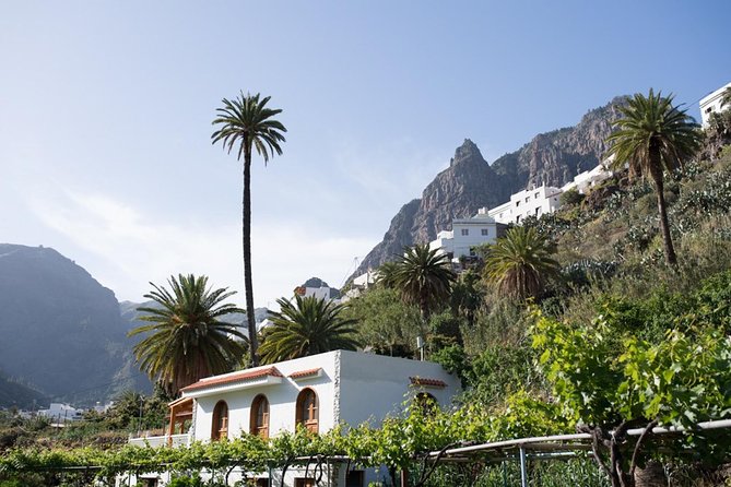 Grand Tour in Gran Canaria - Reviews