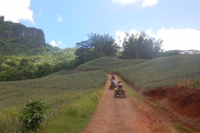 Grand Tour Quad 3h30 Quad Excursion in Moorea (Single or Two-Seater) - Pickup Details
