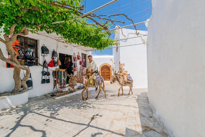 Greek Daytrip: Rhodes to Lindos Minibus Tour - The Sum Up
