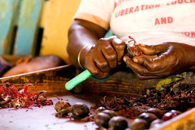 Grenada in a Nutshell- Deluxe Island Tour - Hotel Pickup and Drop-off